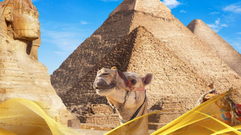 2026 cairo city break 31 05 N IN9