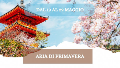 2026 W giappone aria di primavera 19 05 26 IN9