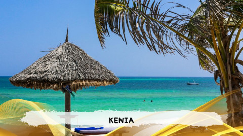 2026 kenya 9,14 08 T IN9