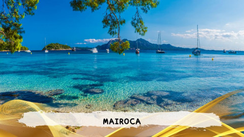 2026 maiorca 11 agosto napoli T IN9