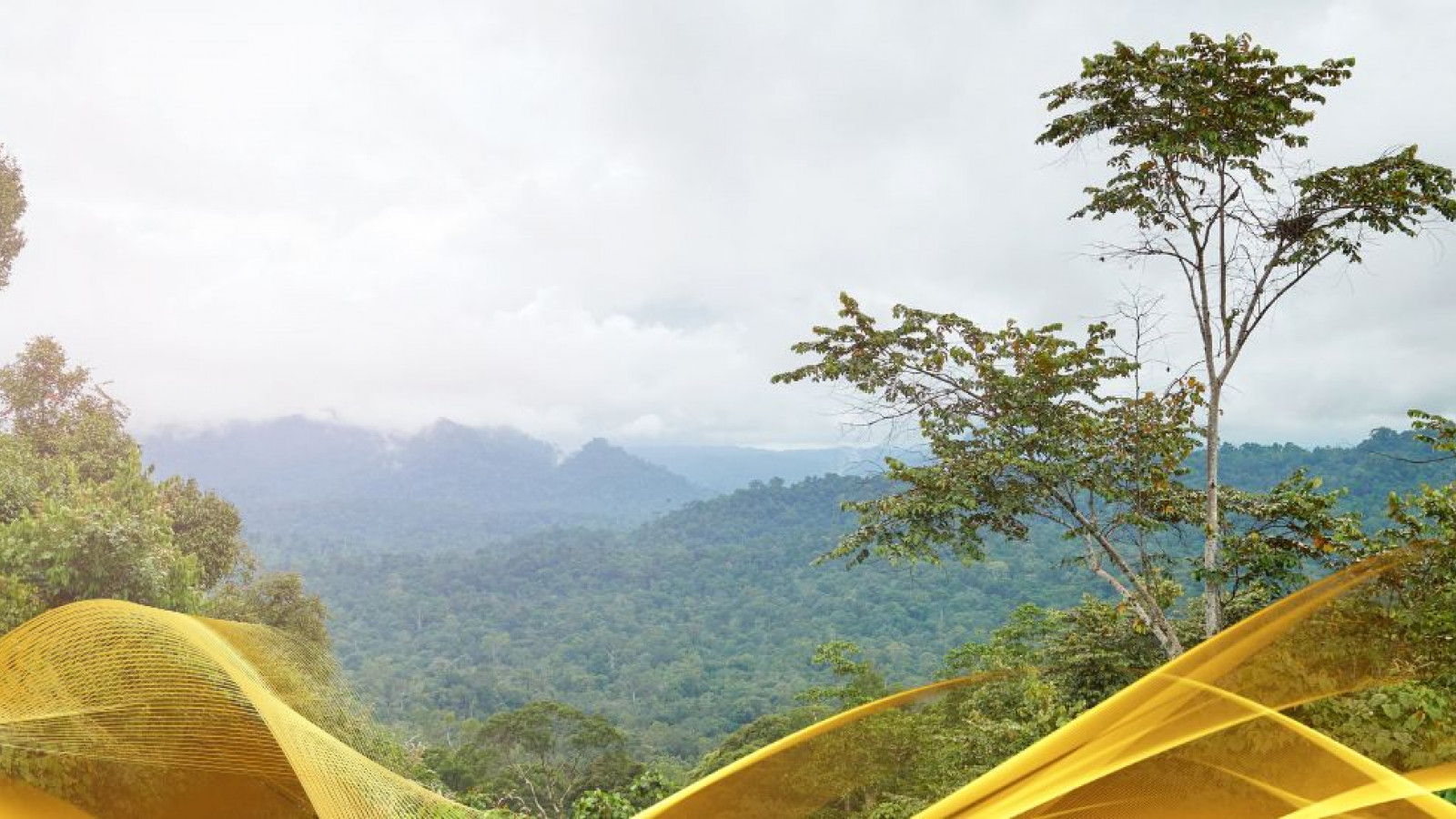 2026 malesia tour mare e altopiani 9 08 O IN9