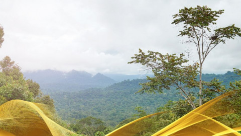 2026 malesia tour mare e altopiani 9 08 O IN9