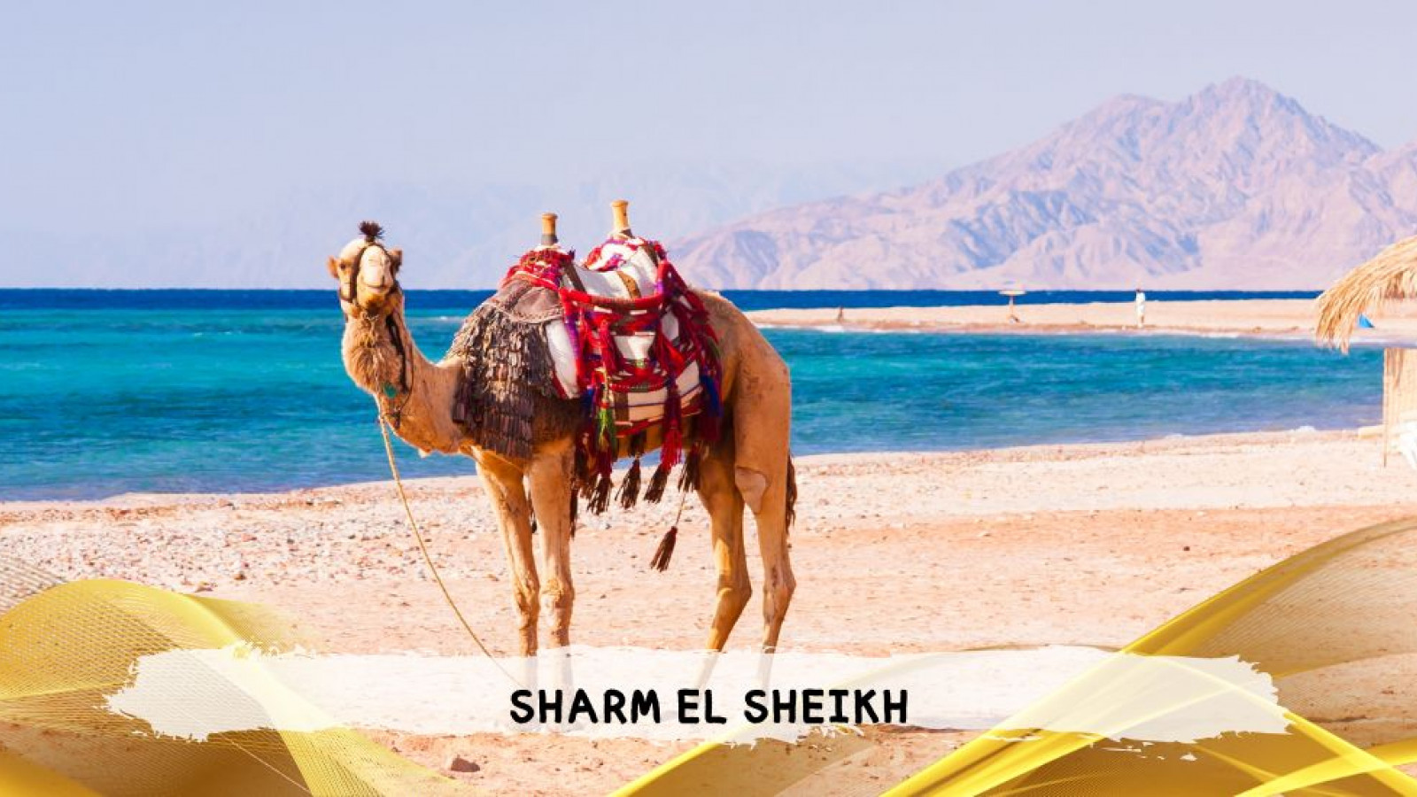 2026 sharm el sheikh da roma queen T IN9