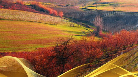 2026 W torino e le langhe 30 05 IN9