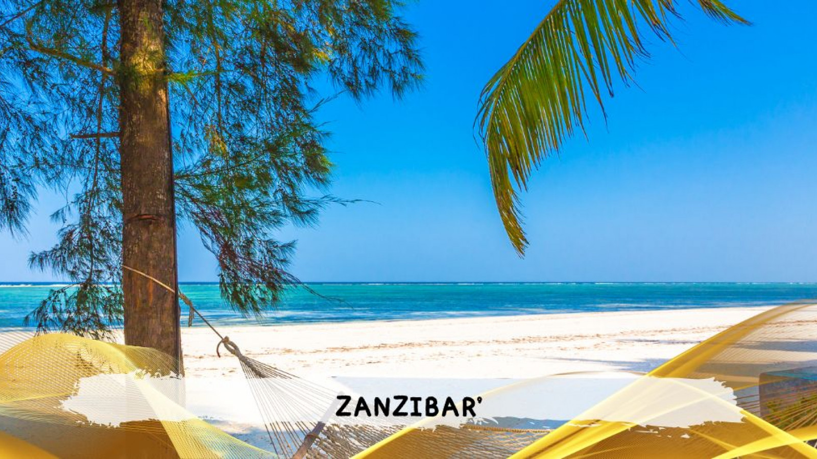 2026 zanzibar 11 08 T IN9